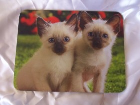 Mousepad - Kittens Stock